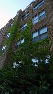Education Law Building Web Education Law